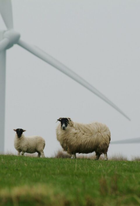 découvrez comment adopter un mode de vie durable grâce à des conseils pratiques, des innovations écologiques et des solutions pour réduire votre impact environnemental. adoptez la sustainability dès aujourd'hui !