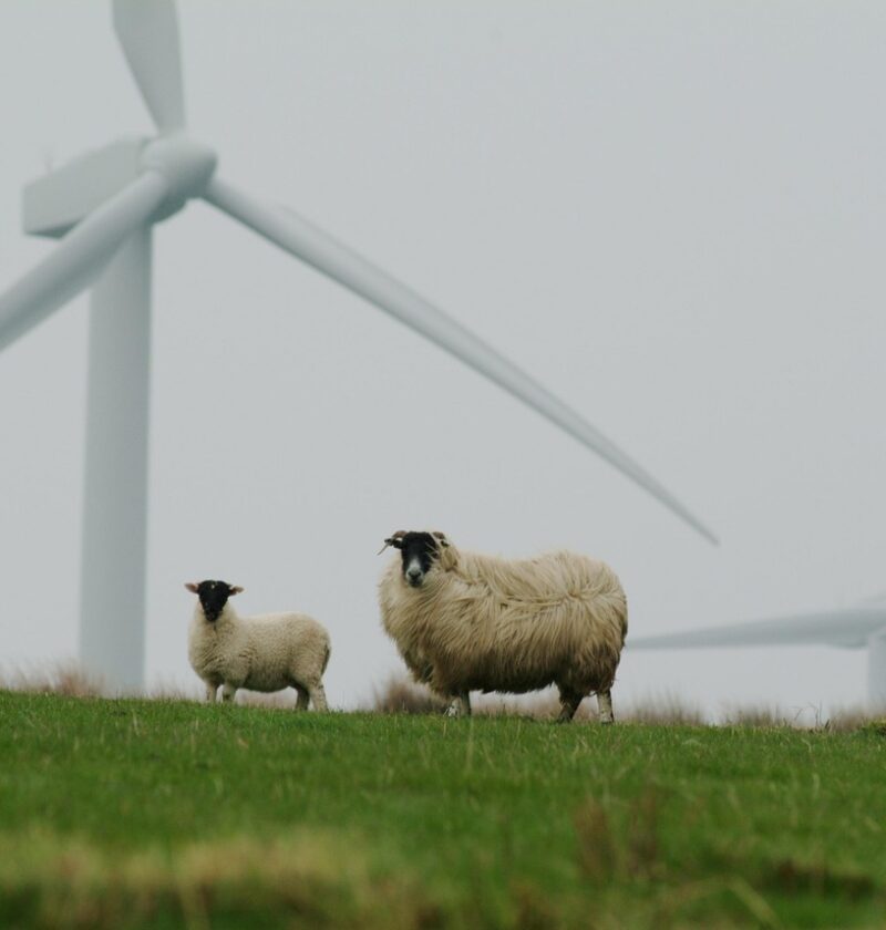 découvrez comment adopter un mode de vie durable grâce à des conseils pratiques, des innovations écologiques et des solutions pour réduire votre impact environnemental. adoptez la sustainability dès aujourd'hui !