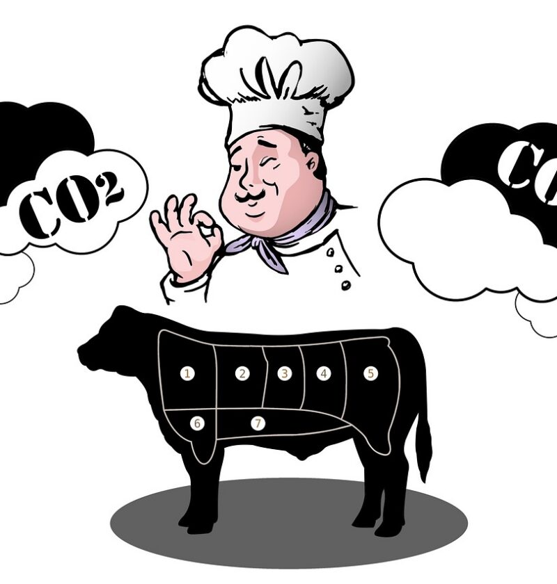 découvrez les inégalités de l'empreinte carbone à travers le monde et comprenez comment les comportements de consommation et les politiques influencent la répartition des émissions de co2.