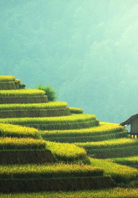 découvrez les pratiques de la pêche durable pour préserver les écosystèmes marins tout en garantissant des ressources halieutiques pour les générations futures.