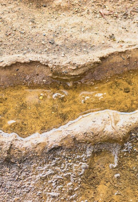 découvrez ce qu'est l'empreinte écologique, son impact sur l'environnement et comment réduire votre consommation pour vivre de manière durable.