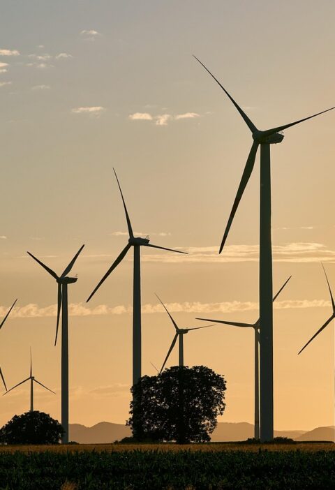 découvrez comment l'adoption des énergies renouvelables transforme les centres de données en réduisant leur empreinte carbone et en améliorant leur efficacité énergétique.