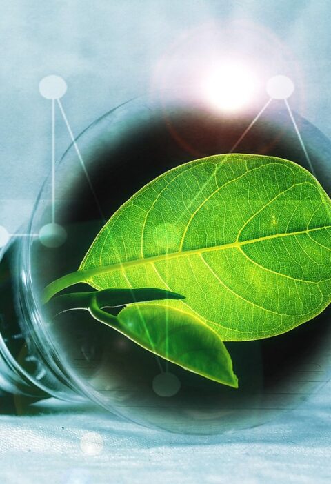 d&eacute;couvrez les projets de transition &eacute;nerg&eacute;tique &agrave; faible &eacute;mission de carbone pour le grand paris, visant &agrave; favoriser un avenir durable et &eacute;cologique.