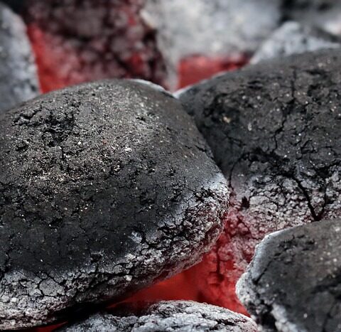 découvrez des stratégies efficaces pour réduire votre empreinte carbone et contribuer à la protection de l'environnement tout en adoptant un mode de vie durable.