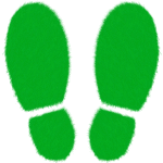 Z&eacute;ro d&eacute;chet d&eacute;butant : les premi&egrave;res &eacute;tapes pour adopter un mode de vie durable