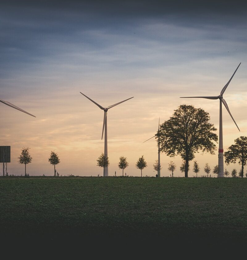 d&eacute;couvrez notre ambition environnementale audacieuse pour un avenir durable et respectueux de la plan&egrave;te.