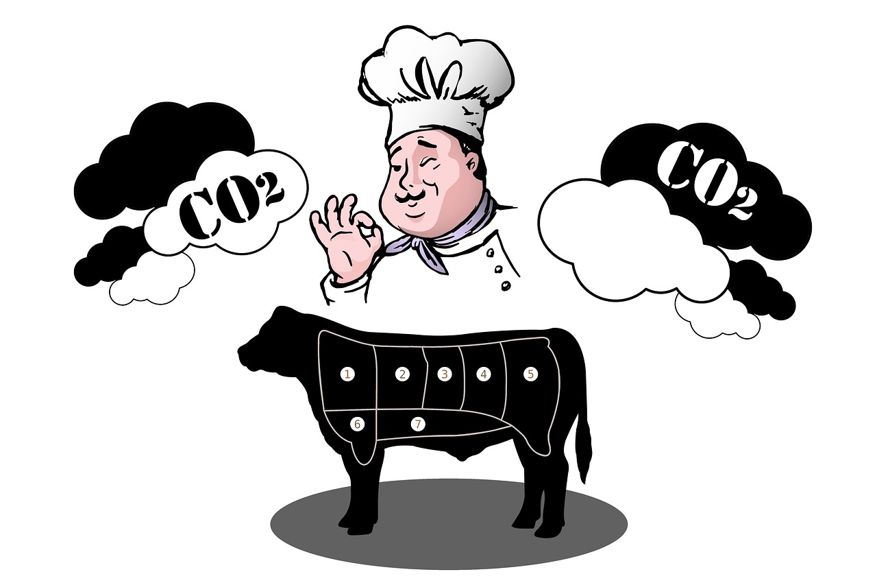 d&eacute;couvrez l'empreinte carbone de la raclette et comment savourer ce plat traditionnel tout en r&eacute;duisant son impact environnemental.