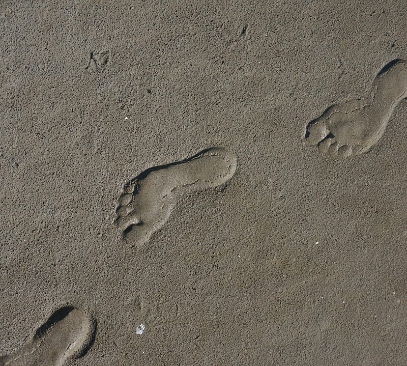 découvrez des stratégies efficaces pour réduire votre empreinte carbone et contribuer à la protection de l'environnement.