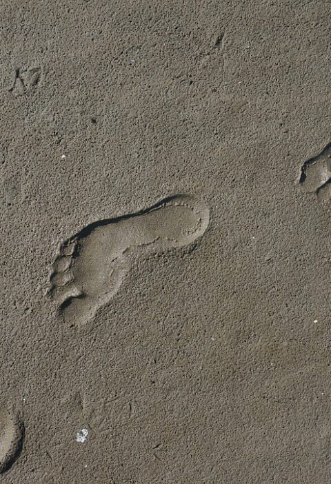 d&eacute;couvrez l'impact environnemental de votre empreinte carbone et apprenez comment r&eacute;duire votre contribution au r&eacute;chauffement climatique gr&acirc;ce &agrave; des actions concr&egrave;tes et durables.