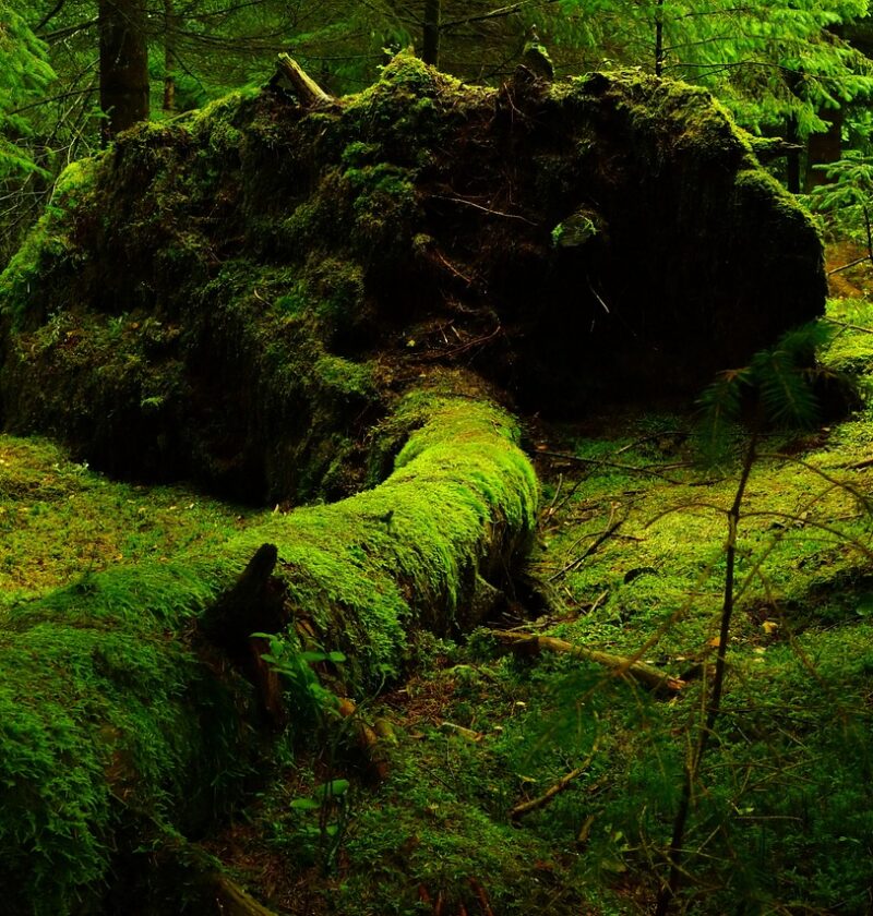 d&eacute;couvrez nos quartiers &eacute;co-responsables alliant qualit&eacute; de vie, respect de l'environnement et d&eacute;veloppement durable pour un avenir meilleur.