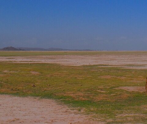 d&eacute;couvrez des strat&eacute;gies et initiatives cl&eacute;s pour lutter contre le changement climatique et promouvoir un avenir durable gr&acirc;ce &agrave; des actions concr&egrave;tes en faveur du climat.