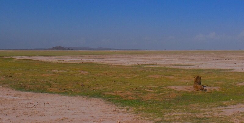 d&eacute;couvrez des strat&eacute;gies et initiatives cl&eacute;s pour lutter contre le changement climatique et promouvoir un avenir durable gr&acirc;ce &agrave; des actions concr&egrave;tes en faveur du climat.