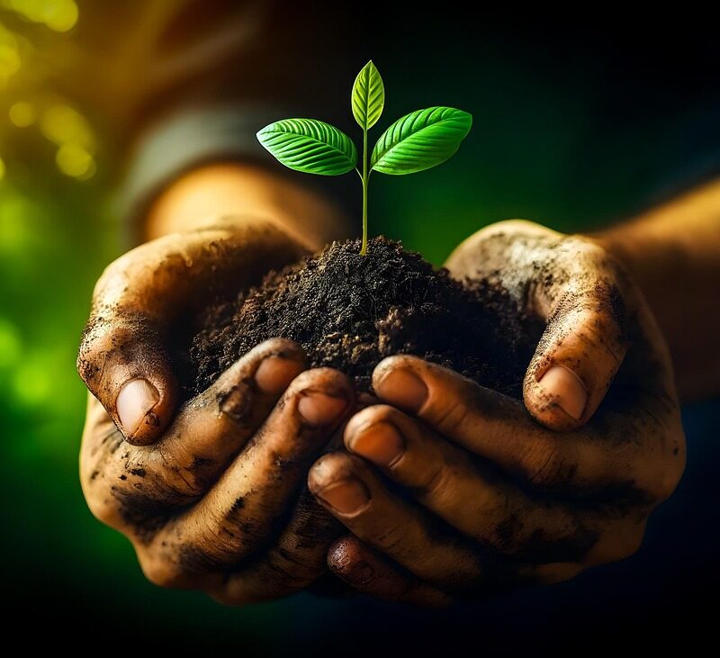 d&eacute;couvrez les initiatives et strat&eacute;gies pour am&eacute;liorer la durabilit&eacute; environnementale dans les h&ocirc;pitaux, en r&eacute;duisant leur empreinte &eacute;cologique tout en assurant des soins de qualit&eacute;.