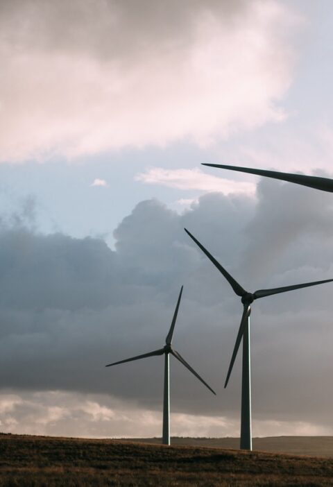 d&eacute;couvrez les solutions innovantes et durables en &eacute;nergie renouvelable pour un avenir plus vert et respectueux de l'environnement.