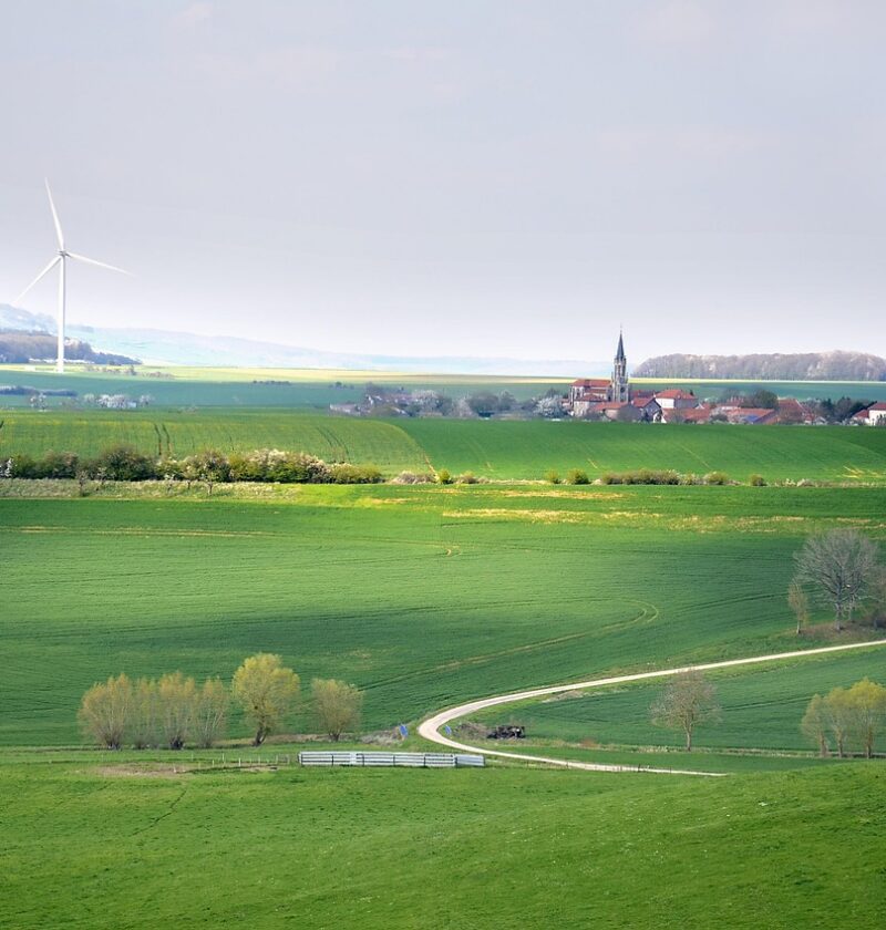 découvrez notre politique de développement durable visant à promouvoir des pratiques responsables pour protéger l'environnement et garantir un avenir équilibré pour tous.