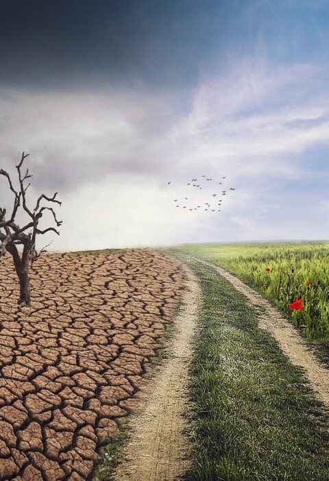 d&eacute;couvrez les principales causes du changement climatique, leurs impacts sur notre plan&egrave;te et comment agir pour un avenir durable.