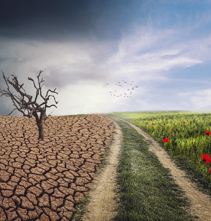 d&eacute;couvrez les principales causes du changement climatique, leurs impacts sur notre plan&egrave;te et comment agir pour un avenir durable.