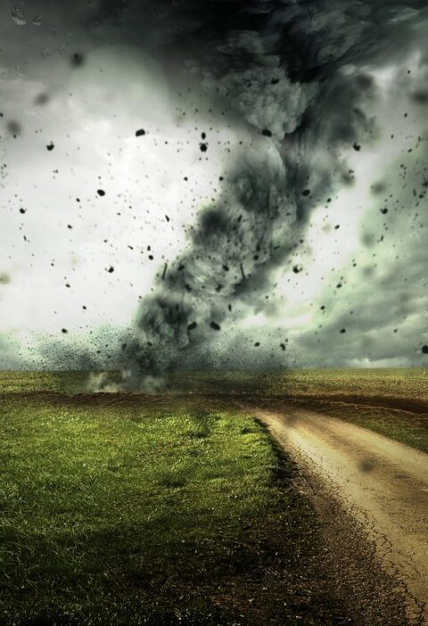 participez &agrave; la conf&eacute;rence sur le changement climatique, un &eacute;v&eacute;nement cl&eacute; r&eacute;unissant les experts, d&eacute;cideurs et citoyens pour discuter des solutions durables face aux d&eacute;fis environnementaux mondiaux.