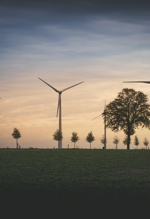d&eacute;couvrez les enjeux et solutions de la transition &eacute;nerg&eacute;tique pour un avenir durable et respectueux de l'environnement.
