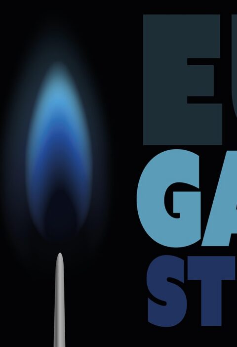 d&eacute;couvrez les initiatives de la famille royale pour r&eacute;duire leur empreinte carbone et promouvoir la durabilit&eacute; environnementale.