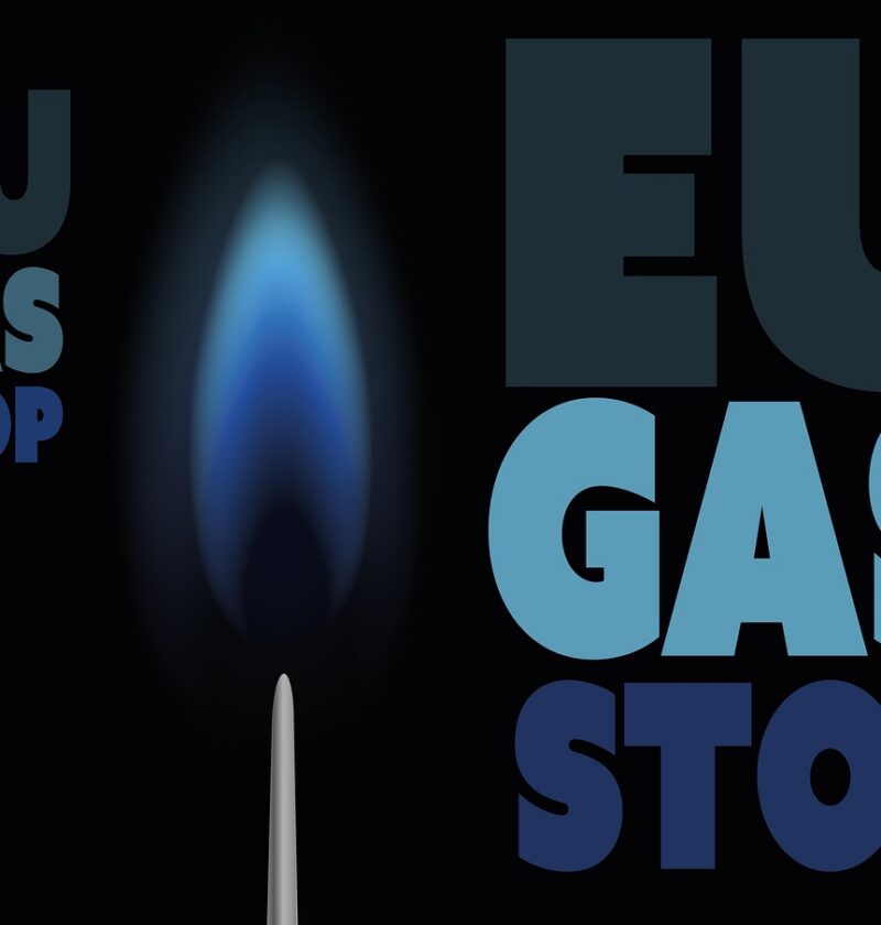 d&eacute;couvrez les initiatives de la famille royale pour r&eacute;duire leur empreinte carbone et promouvoir la durabilit&eacute; environnementale.