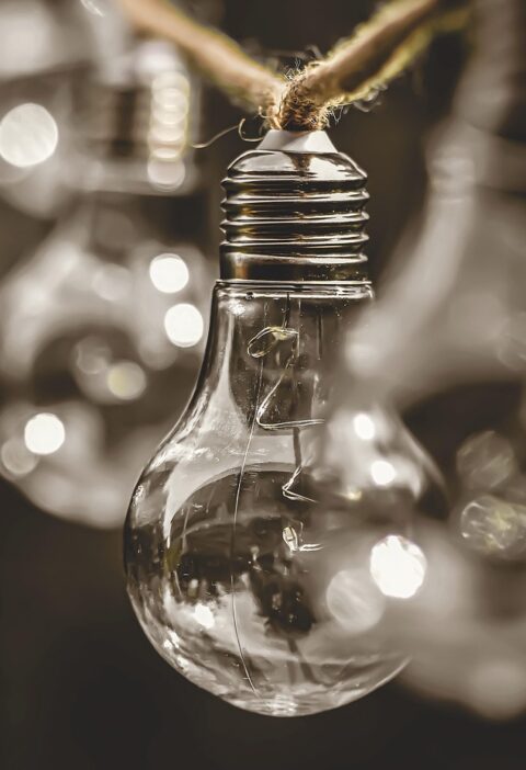 d&eacute;couvrez nos initiatives et conseils pour promouvoir la durabilit&eacute; et prot&eacute;ger l'environnement pour les g&eacute;n&eacute;rations futures.