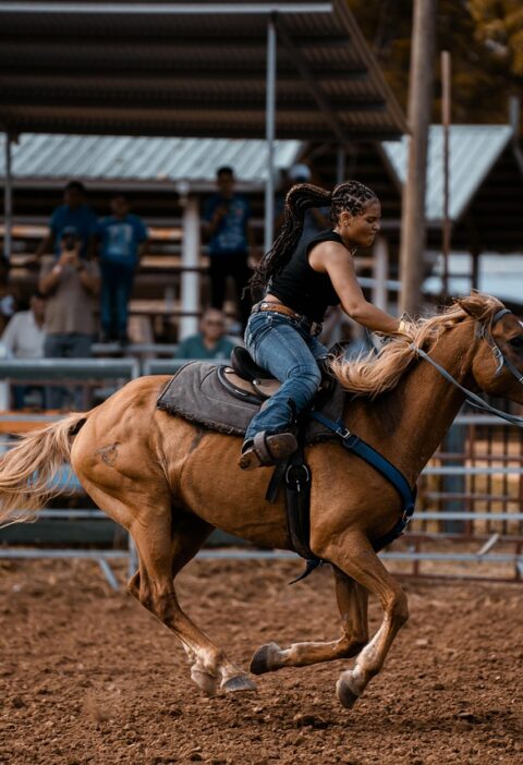 d&eacute;couvrez les derni&egrave;res innovations et pratiques durables en agriculture pour optimiser vos r&eacute;coltes et pr&eacute;server l'environnement.