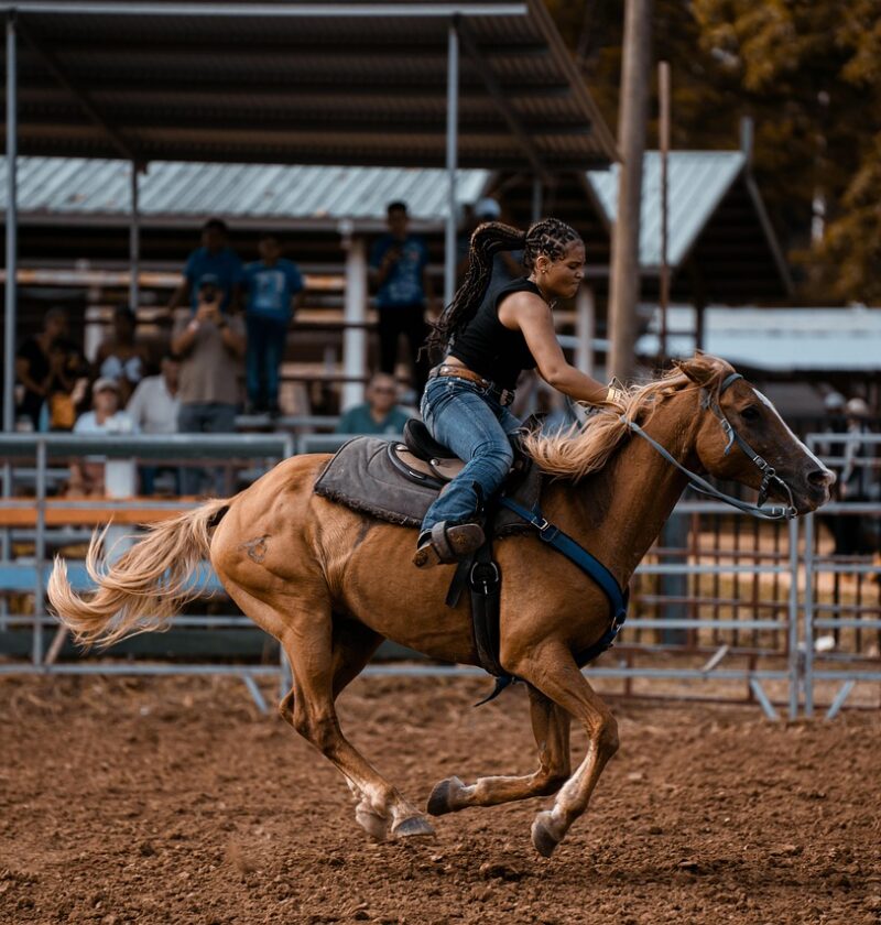 d&eacute;couvrez les derni&egrave;res innovations et pratiques durables en agriculture pour optimiser vos r&eacute;coltes et pr&eacute;server l'environnement.