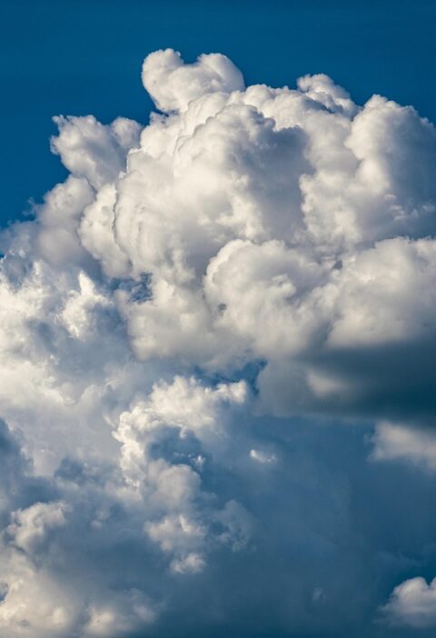 d&eacute;couvrez les enjeux du climat, ses impacts et les solutions pour un avenir durable face au changement climatique.