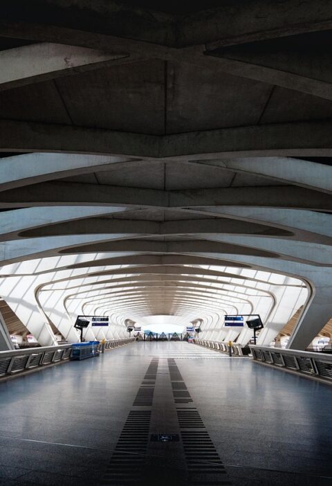 d&eacute;couvrez les initiatives rse (responsabilit&eacute; soci&eacute;tale des entreprises) &agrave; lyon pour un d&eacute;veloppement durable et engag&eacute;, au c&oelig;ur des entreprises locales.