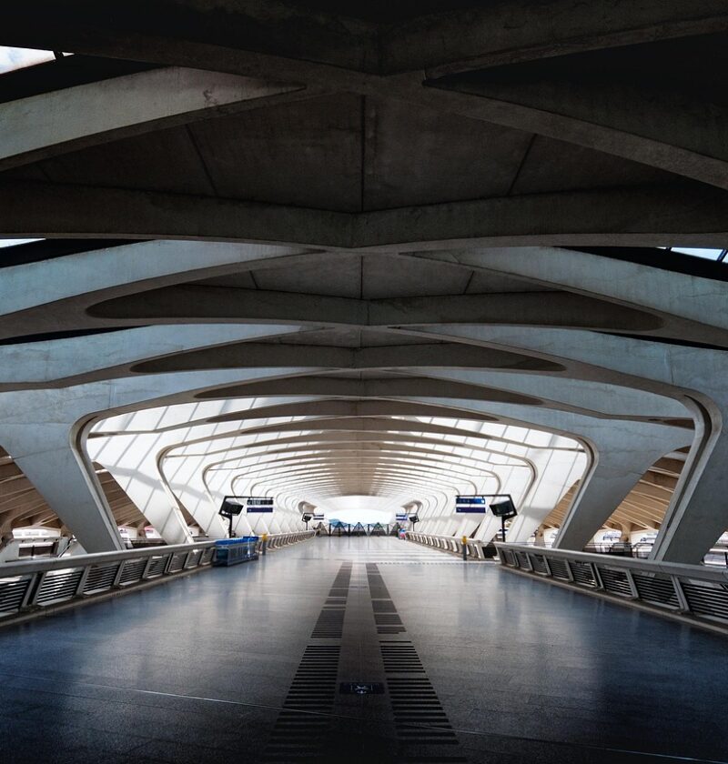 d&eacute;couvrez les initiatives rse (responsabilit&eacute; soci&eacute;tale des entreprises) &agrave; lyon pour un d&eacute;veloppement durable et engag&eacute;, au c&oelig;ur des entreprises locales.