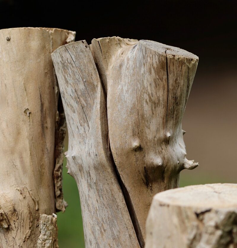 la d&eacute;forestation d&eacute;signe la destruction ou la r&eacute;duction des for&ecirc;ts, entra&icirc;nant des impacts environnementaux majeurs tels que la perte de biodiversit&eacute;, le changement climatique et la perturbation des &eacute;cosyst&egrave;mes.