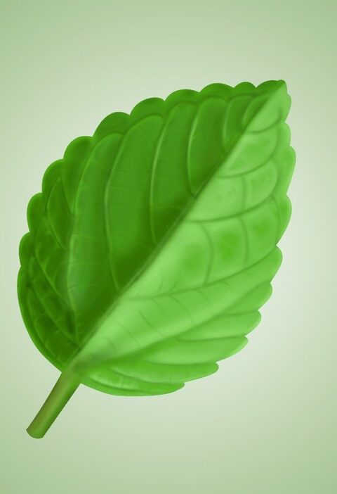 d&eacute;couvrez des gestes &eacute;co-responsables simples pour prot&eacute;ger l'environnement au quotidien et adopter un mode de vie durable.