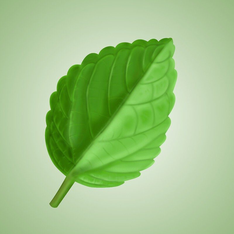 d&eacute;couvrez des gestes &eacute;co-responsables simples pour prot&eacute;ger l'environnement au quotidien et adopter un mode de vie durable.