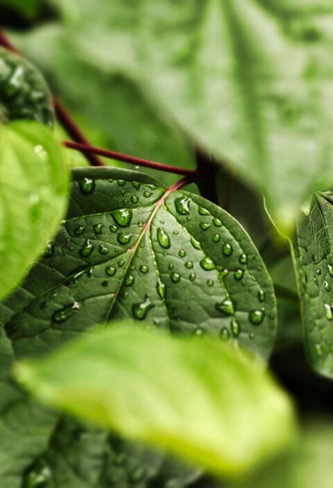 ordinateur portable premium &eacute;cologique alliant performance sup&eacute;rieure et respect de l'environnement pour une exp&eacute;rience high-tech durable.