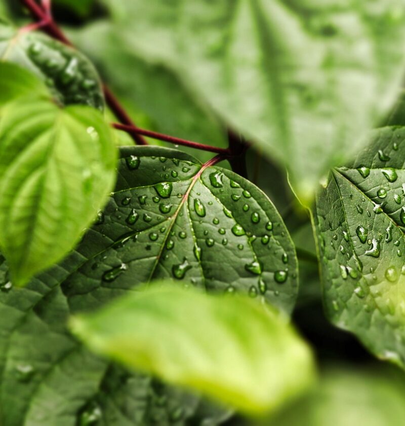 ordinateur portable premium écologique alliant performance supérieure et respect de l'environnement pour une expérience high-tech durable.