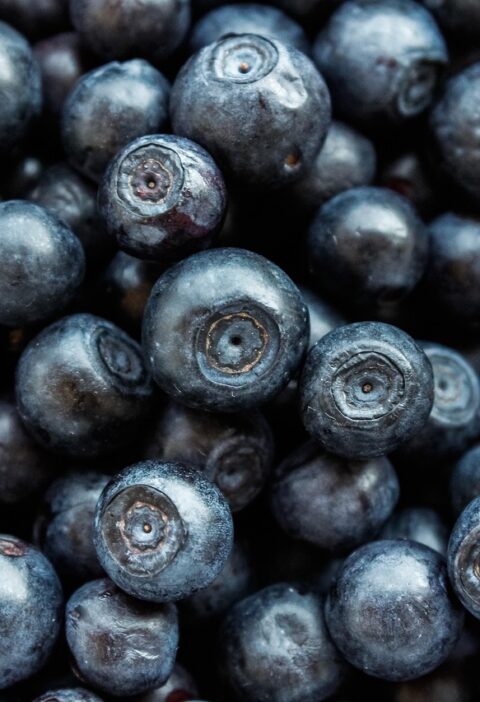 d&eacute;couvrez les derni&egrave;res tendances et solutions en eco-innovation pour un avenir durable, alliant technologie et respect de l'environnement.