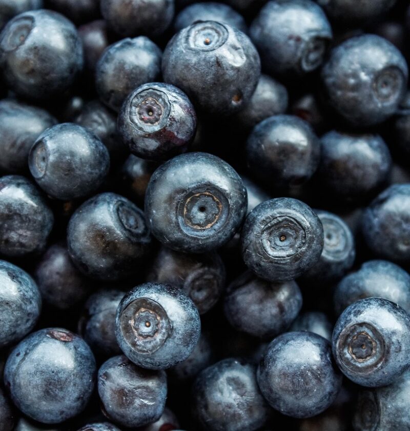 découvrez les dernières tendances et solutions en eco-innovation pour un avenir durable, alliant technologie et respect de l'environnement.