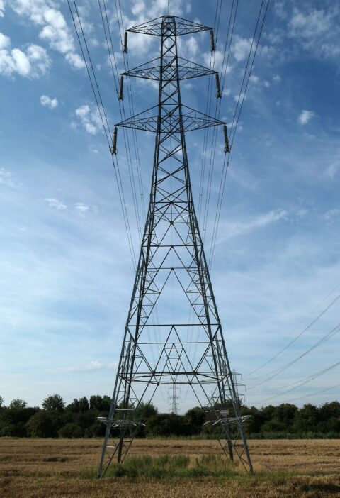 d&eacute;couvrez les effets de nos actions sur l'environnement et les solutions pour r&eacute;duire notre impact &eacute;cologique.