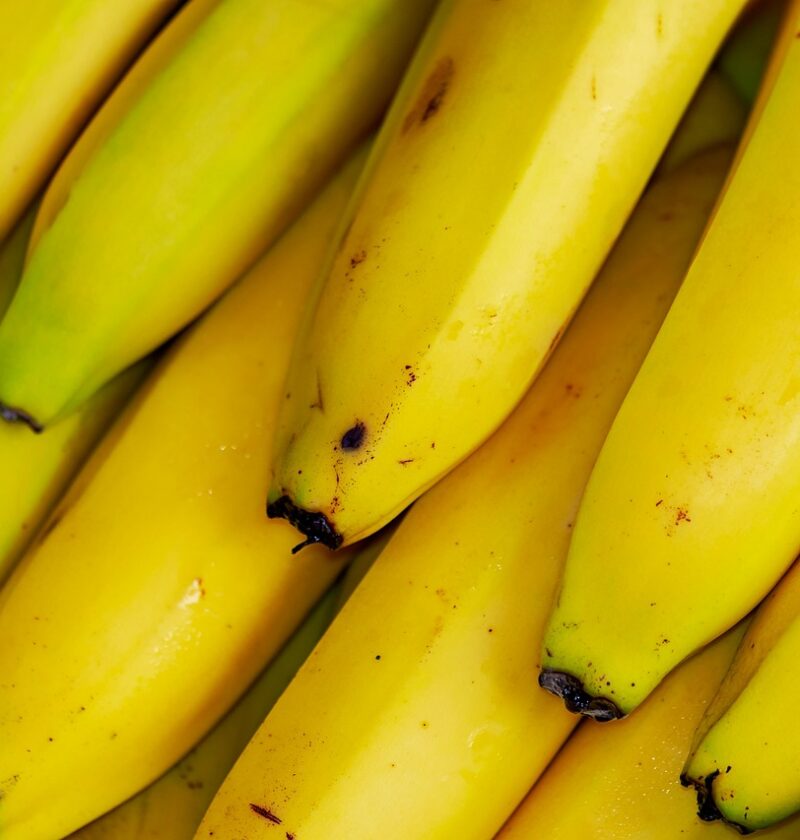 découvrez une sélection exquise de fruits exotiques aux saveurs uniques et rafraîchissantes, parfaits pour égayer vos repas et smoothies.