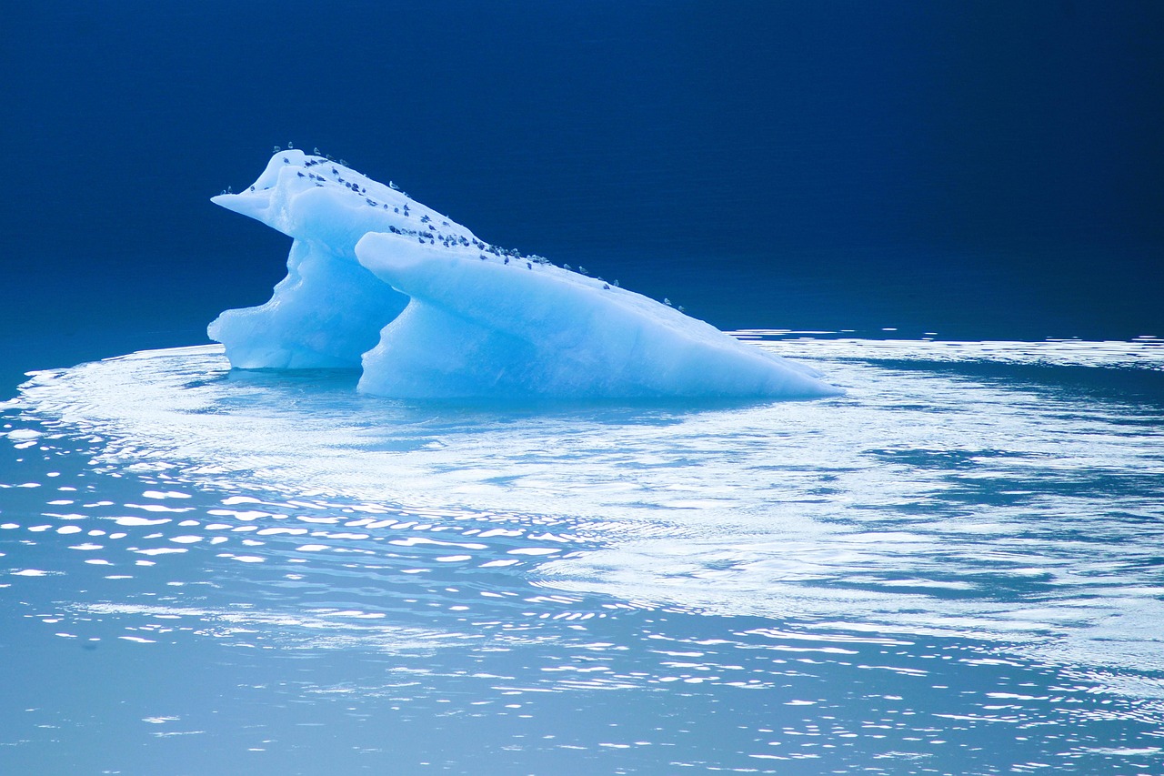 d&eacute;couvrez les glaciers, ces gigantesques masses de glace qui sculptent les paysages et t&eacute;moignent des changements climatiques. explorez leur formation, leur &eacute;volution et leur impact sur la plan&egrave;te.