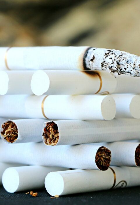 d&eacute;couvrez les habitudes &eacute;cologiques inefficaces et apprenez comment adopter des pratiques r&eacute;ellement durables pour prot&eacute;ger notre environnement.