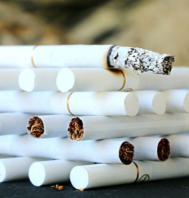 d&eacute;couvrez les habitudes &eacute;cologiques inefficaces et apprenez comment adopter des pratiques r&eacute;ellement durables pour prot&eacute;ger notre environnement.