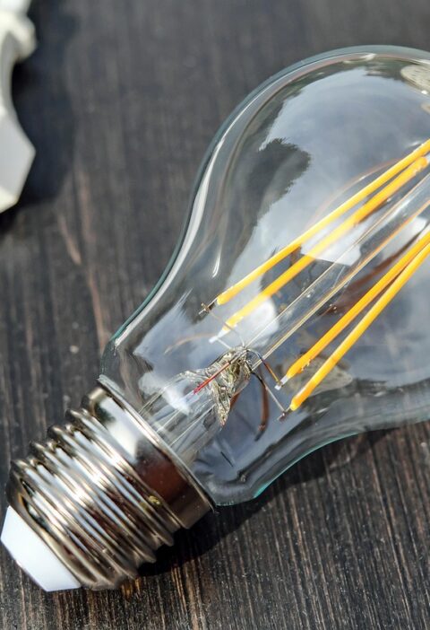 d&eacute;couvrez plug power, un leader innovant dans les solutions d'&eacute;nergie propre et les technologies de piles &agrave; combustible pour un avenir durable.