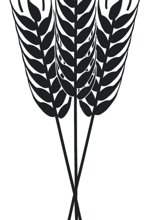 d&eacute;couvrez les pratiques et innovations en agriculture durable pour pr&eacute;server les ressources naturelles, prot&eacute;ger l'environnement et assurer une production alimentaire responsable.