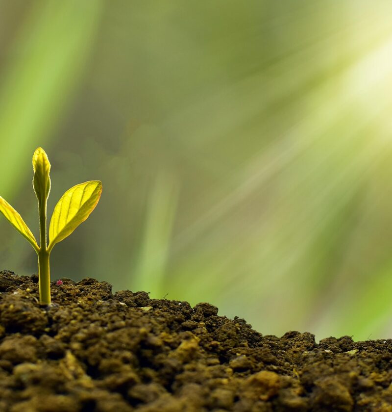 d&eacute;couvrez comment favoriser une croissance durable alliant d&eacute;veloppement &eacute;conomique, respect de l'environnement et responsabilit&eacute;s sociales pour un avenir meilleur.