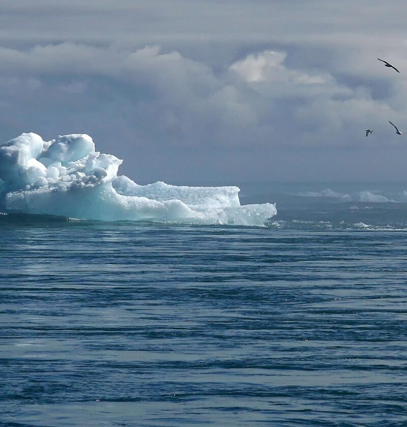 découvrez les stratégies d'adaptation au changement climatique dans le sport amateur pour préserver les activités et garantir un avenir durable.