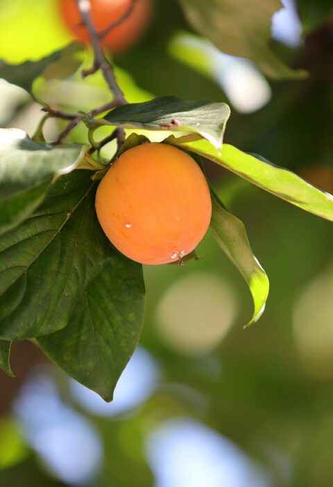 d&eacute;couvrez les r&eacute;sultats annuels d&eacute;taill&eacute;s, analyse des performances et perspectives pour l'ann&eacute;e &eacute;coul&eacute;e.