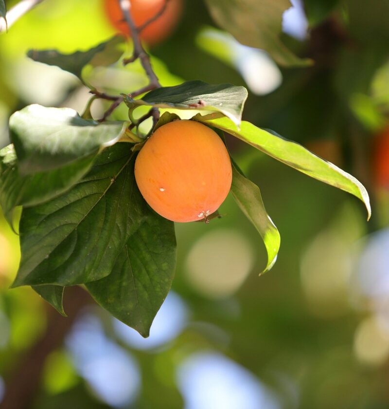 d&eacute;couvrez les r&eacute;sultats annuels d&eacute;taill&eacute;s, analyse des performances et perspectives pour l'ann&eacute;e &eacute;coul&eacute;e.