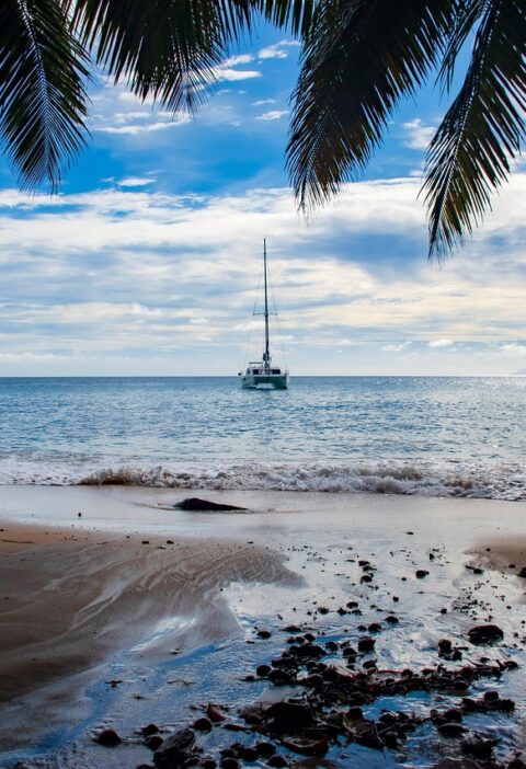 d&eacute;couvrez l'univers du catamaran : navigation, confort et aventures en mer sous toutes les latitudes.